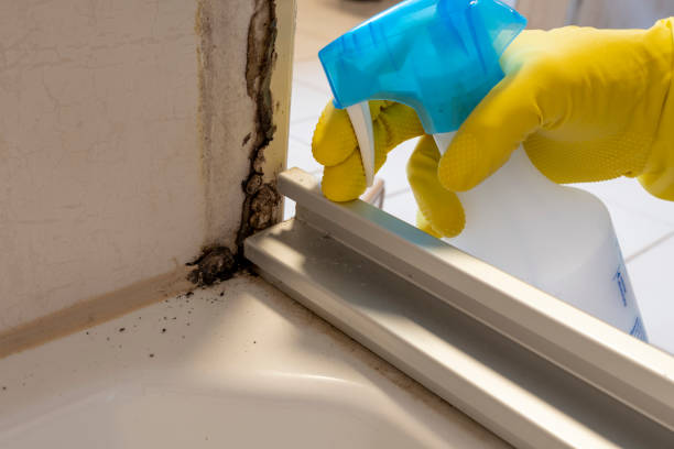 Best Mold Testing  in Menomonee Falls, WI