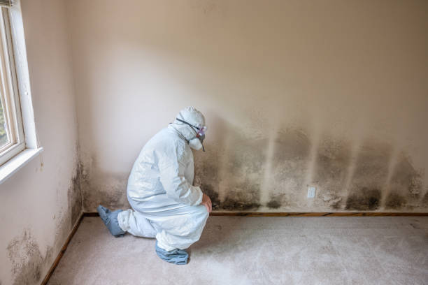 Best Mold Testing  in Menomonee Falls, WI